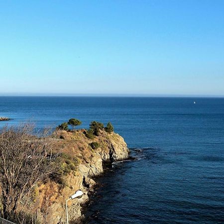 Apartamento Les Pieds Dans L'Eau Banyuls-sur-Mer Exterior foto