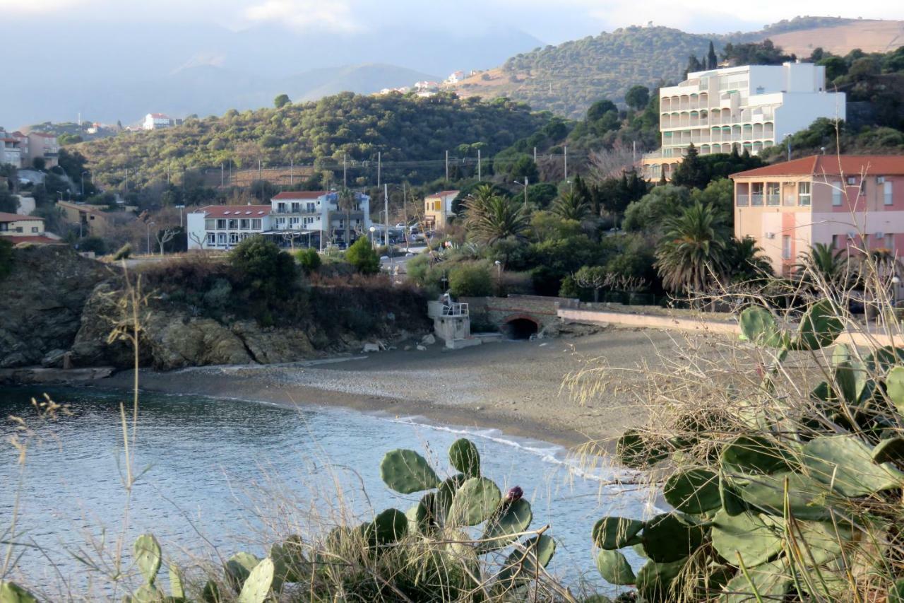 Apartamento Les Pieds Dans L'Eau Banyuls-sur-Mer Exterior foto